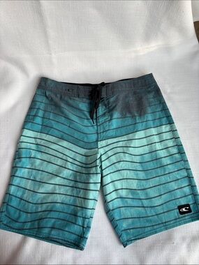 Quiksilver Teal & Aqua Striped Men's Board Shorts -339sku